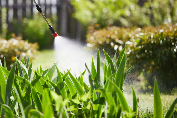 24/7 Emergency Mosquito Control experts in Aragon, GA