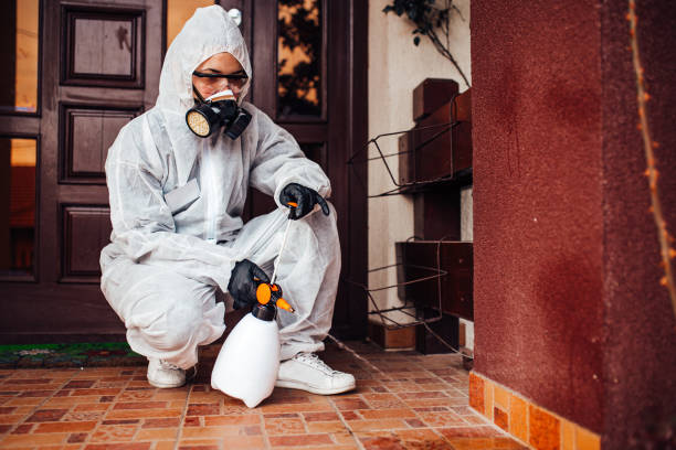 Reliable Mosquito Control contractor in Aragon, GA by Show Me Pest Control